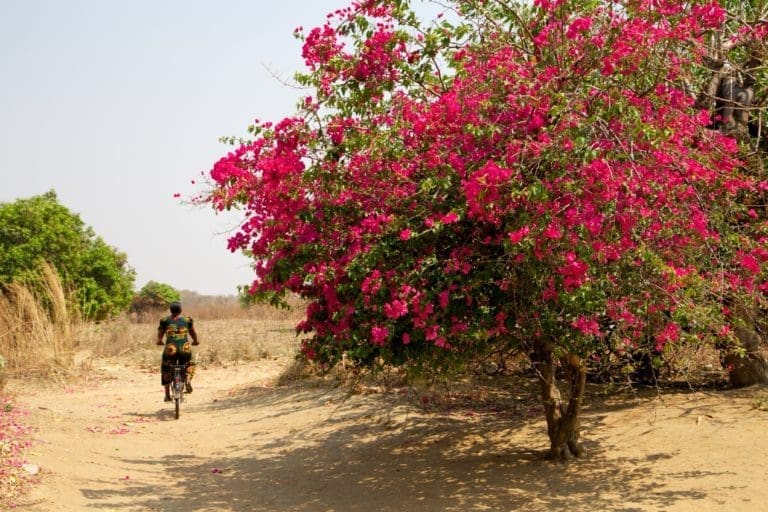 Patientenbesuche per Rad