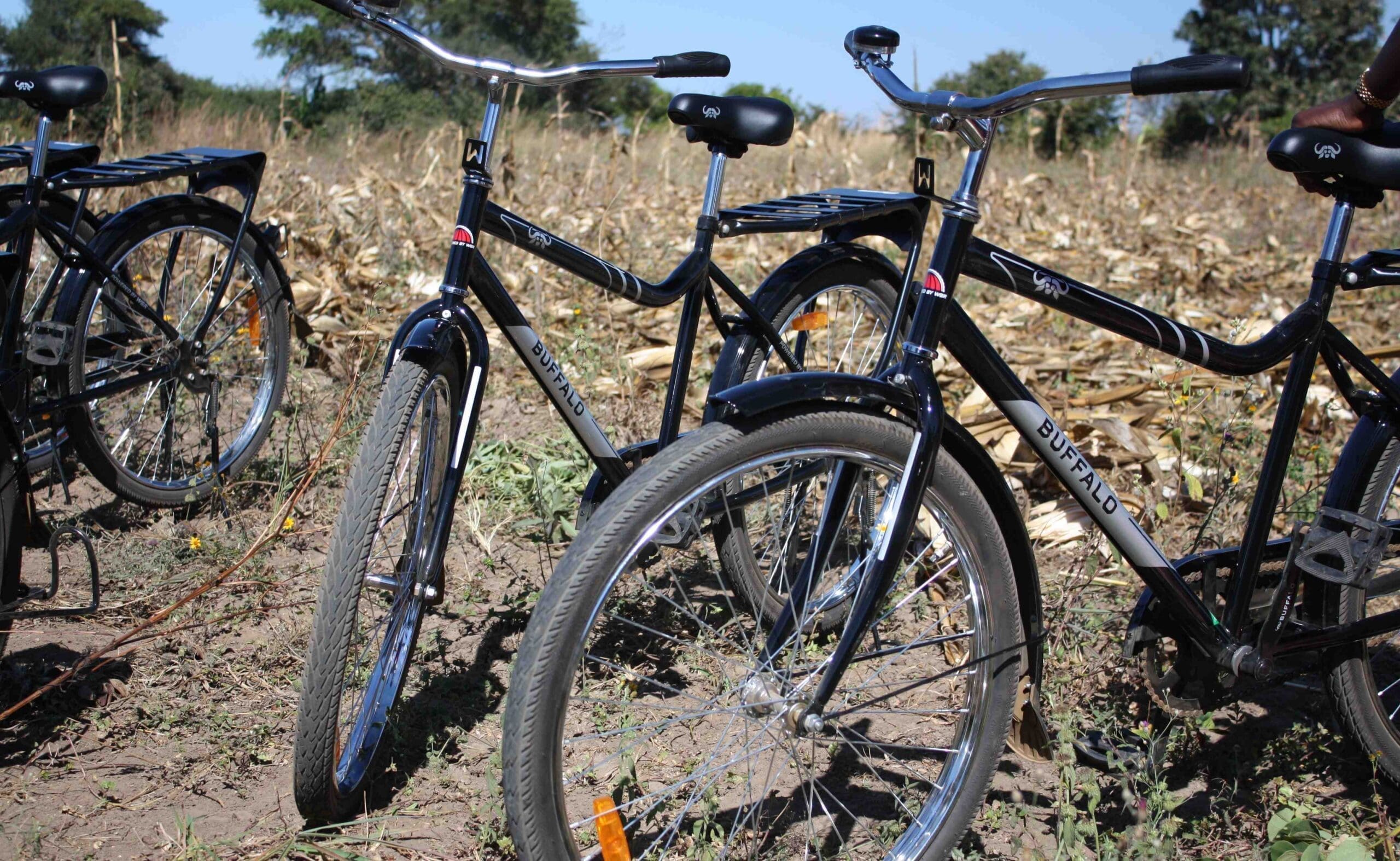 Building a better bicycle for tomorrow