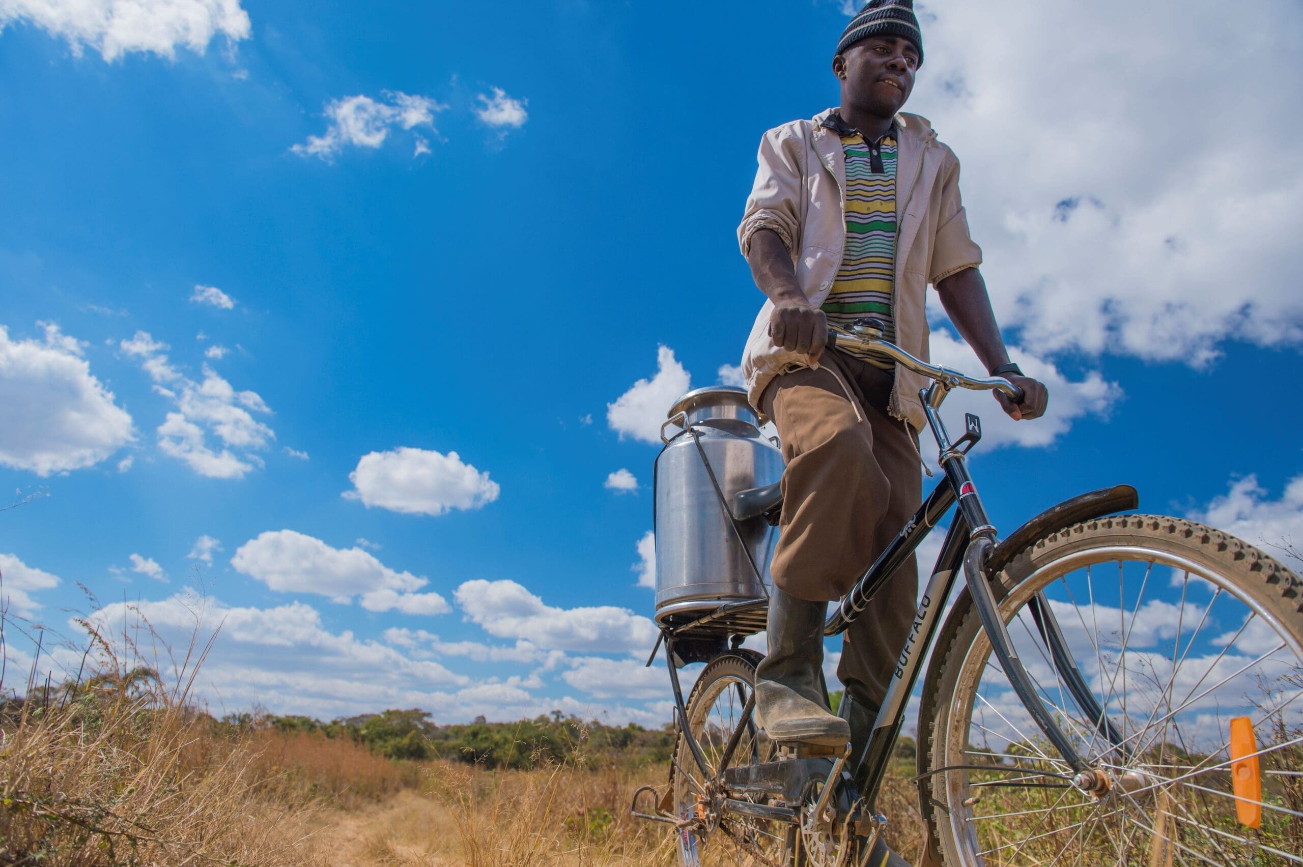 Agricoltori in Zambia con la Buffalo