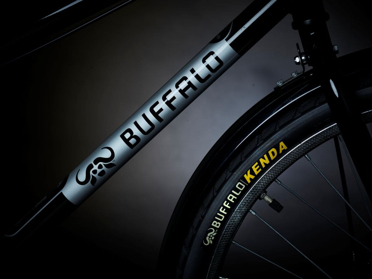 Not New. Better: The Evolution of the Buffalo Bicycle