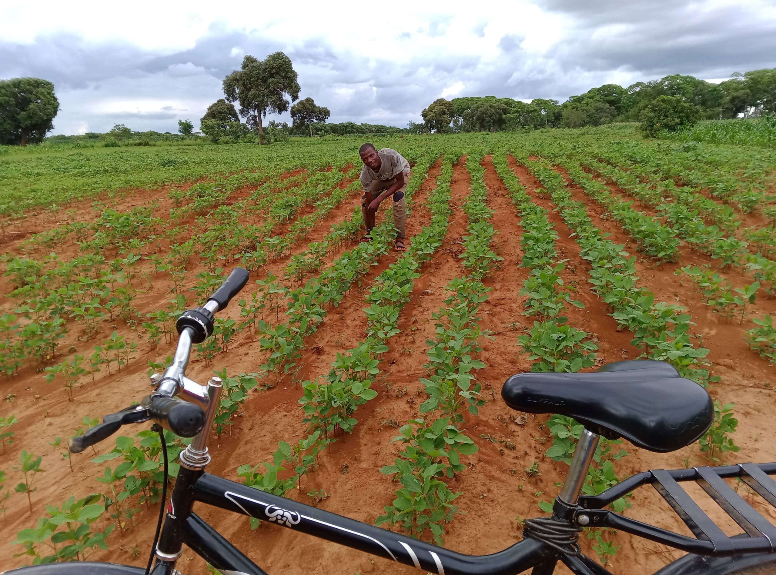Tracking Bicycle Usage in Mumbwa – A Deeper Look into Mobility Impact